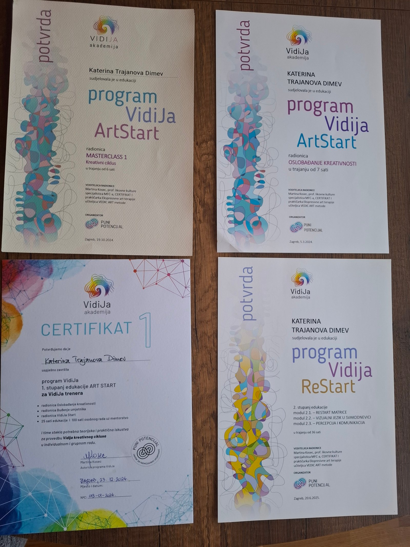 Certificates Vidija - Katerina Vedra Education